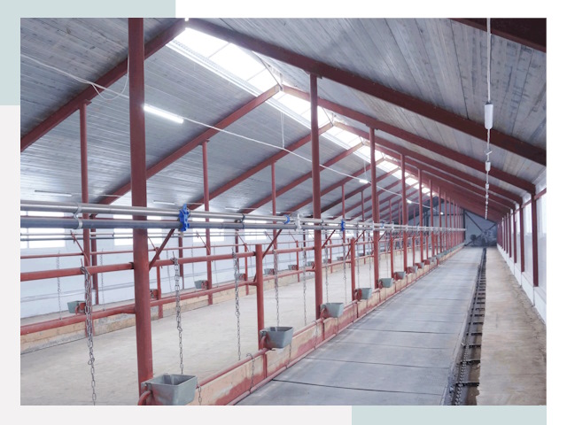 Строительство коровников в Волжском от 608 руб.