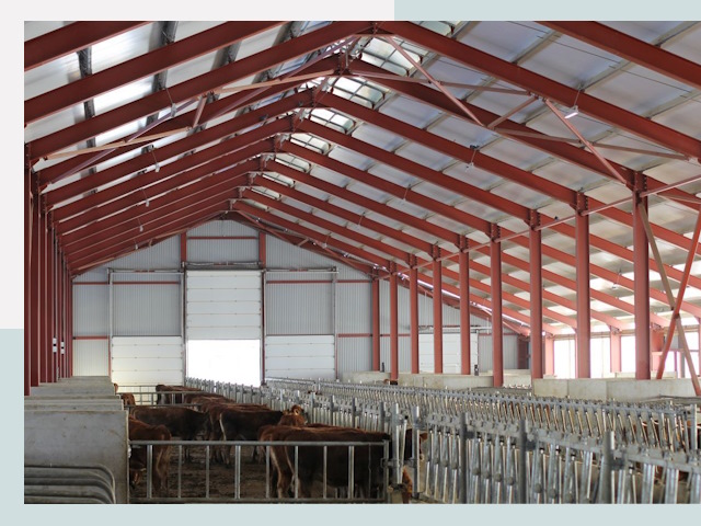 Строительство коровников в Волжском