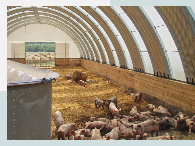 Строительство свинарников в Волжском