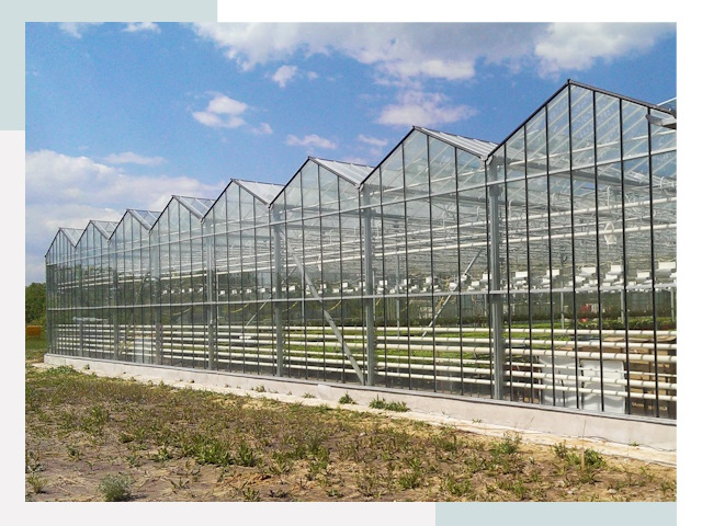 Строительство теплиц в Волжский от 608 руб. за м²