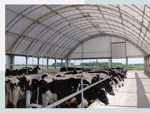 Тентовые коровники в Волжском